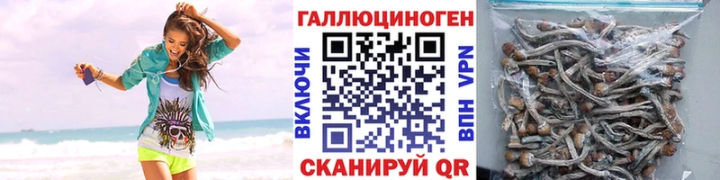 Галлюциногенные грибы мицелий  Перевоз 